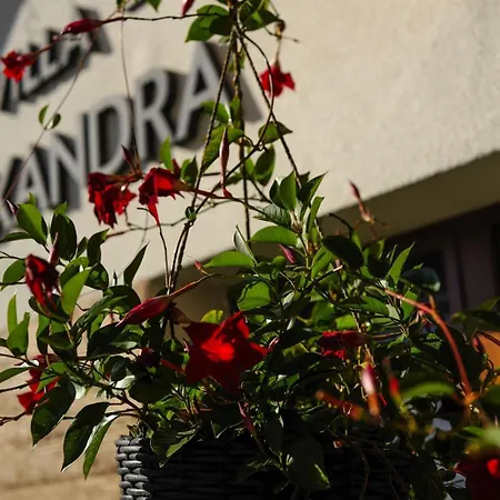 ヴィラ Alexandra Bešeňová